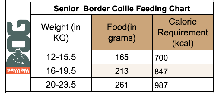 Border Collie Diet: What And How Much To Feed
