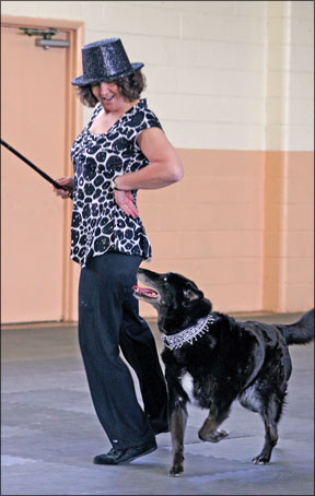 Exploring the Magical World of Canine Freestyle Dancing