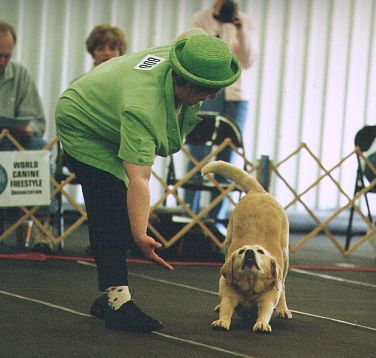 Exploring the Magical World of Canine Freestyle Dancing