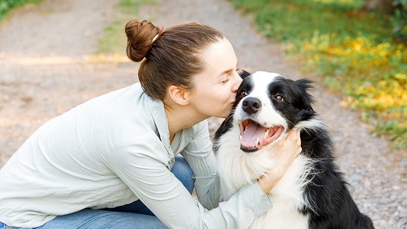 Managing Your Border Collie’s Natural Instincts in the City