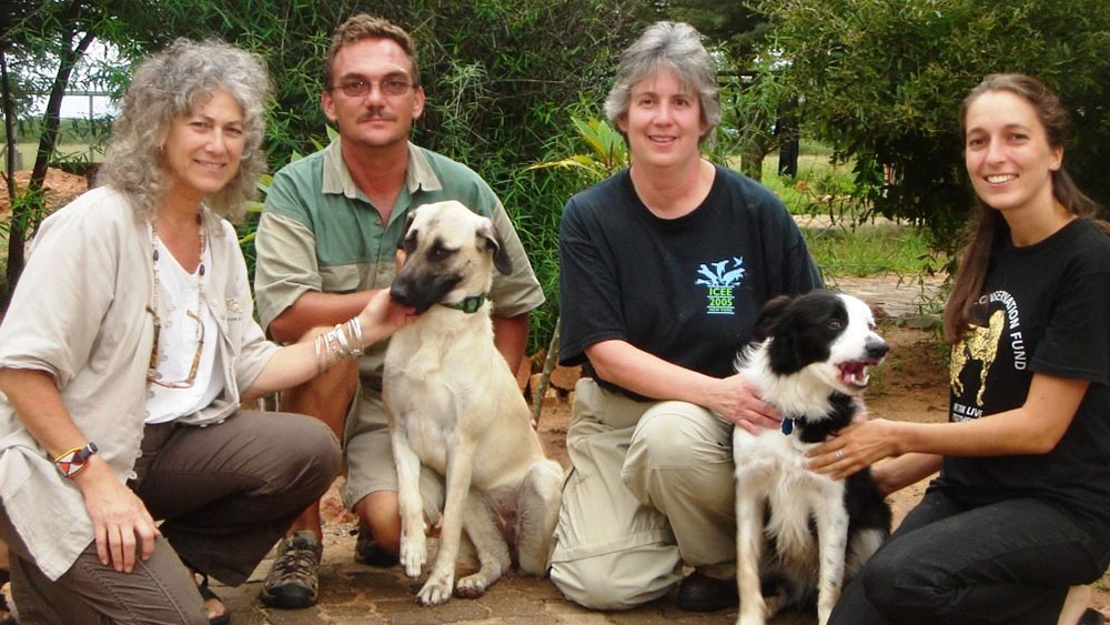 The Power of Border Collies in Wildlife Conservation