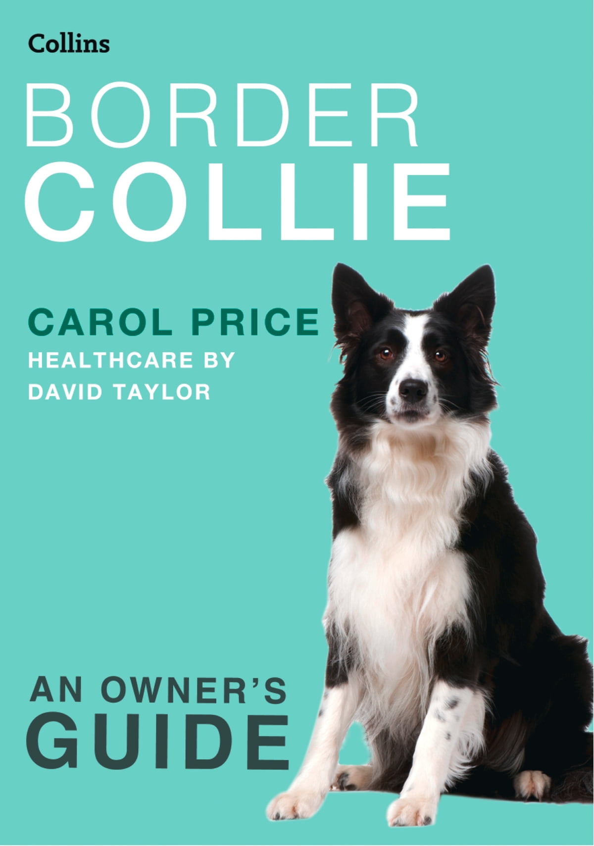 Tips for Managing Border Collie Temperament: A Owners Handbook