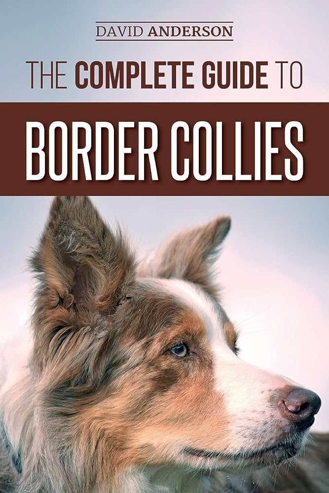 Tips for Managing Border Collie Temperament: A Owners Handbook