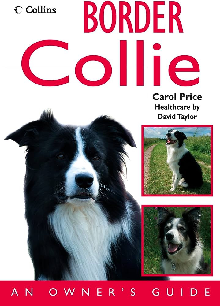 Tips for Managing Border Collie Temperament: A Owners Handbook