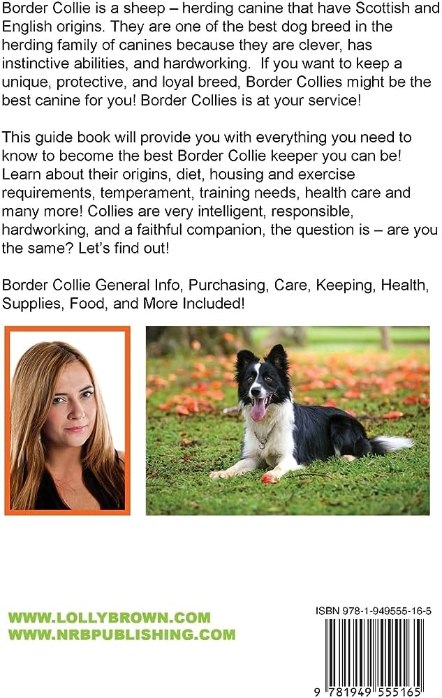 Understanding and Managing Border Collie Temperament: A Comprehensive Guide