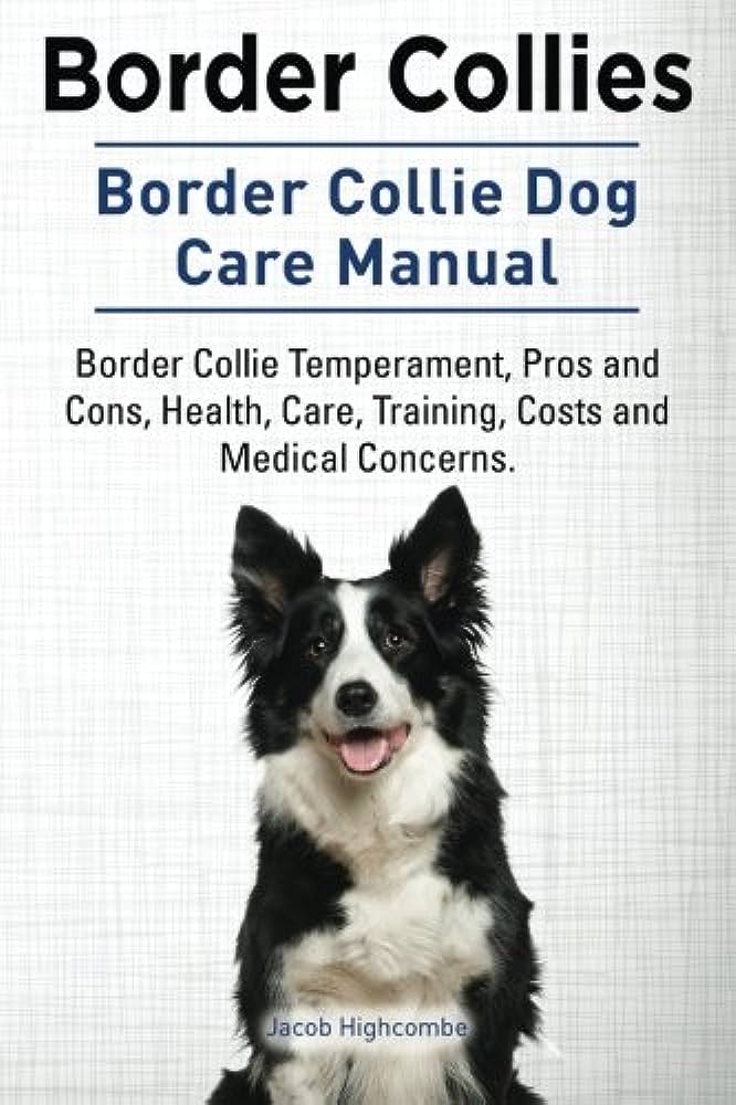 Understanding and Training Border Collie Temperament: A Comprehensive Guide