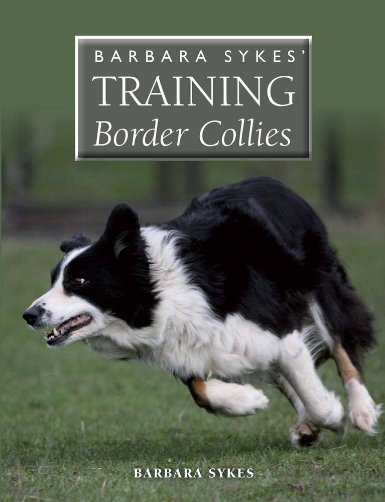 Understanding and Training Border Collie Temperament: A Comprehensive Guide