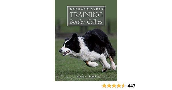 Understanding and Training Border Collie Temperament: A Comprehensive Guide