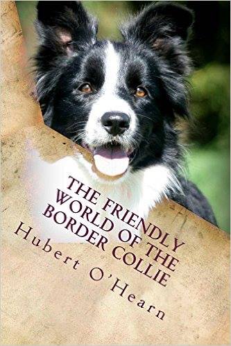 Unleashing the Dancing Spirit: Exploring the World of Canine Freestyle with Border Collies