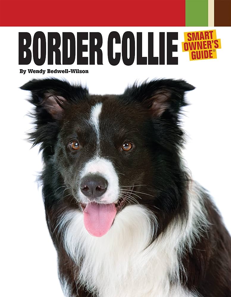 Effective Techniques for Handling Border Collie Temperament: A Practical Owners Manual