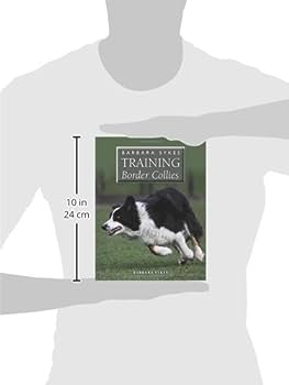 Tailoring Training Methods for a Border Collies Sensitive Nature