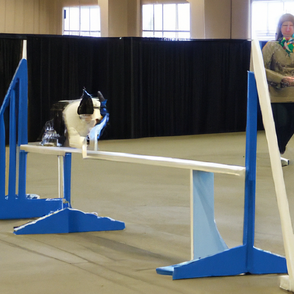 The Important Role of Border Collies in Tracking and Detection